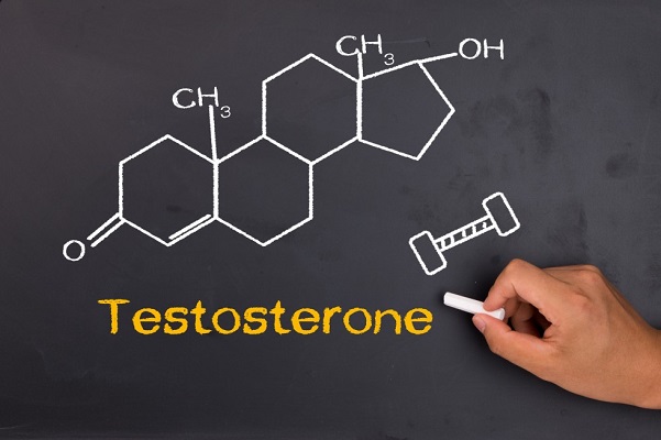 Что такое свободный тестостерон у мужчин